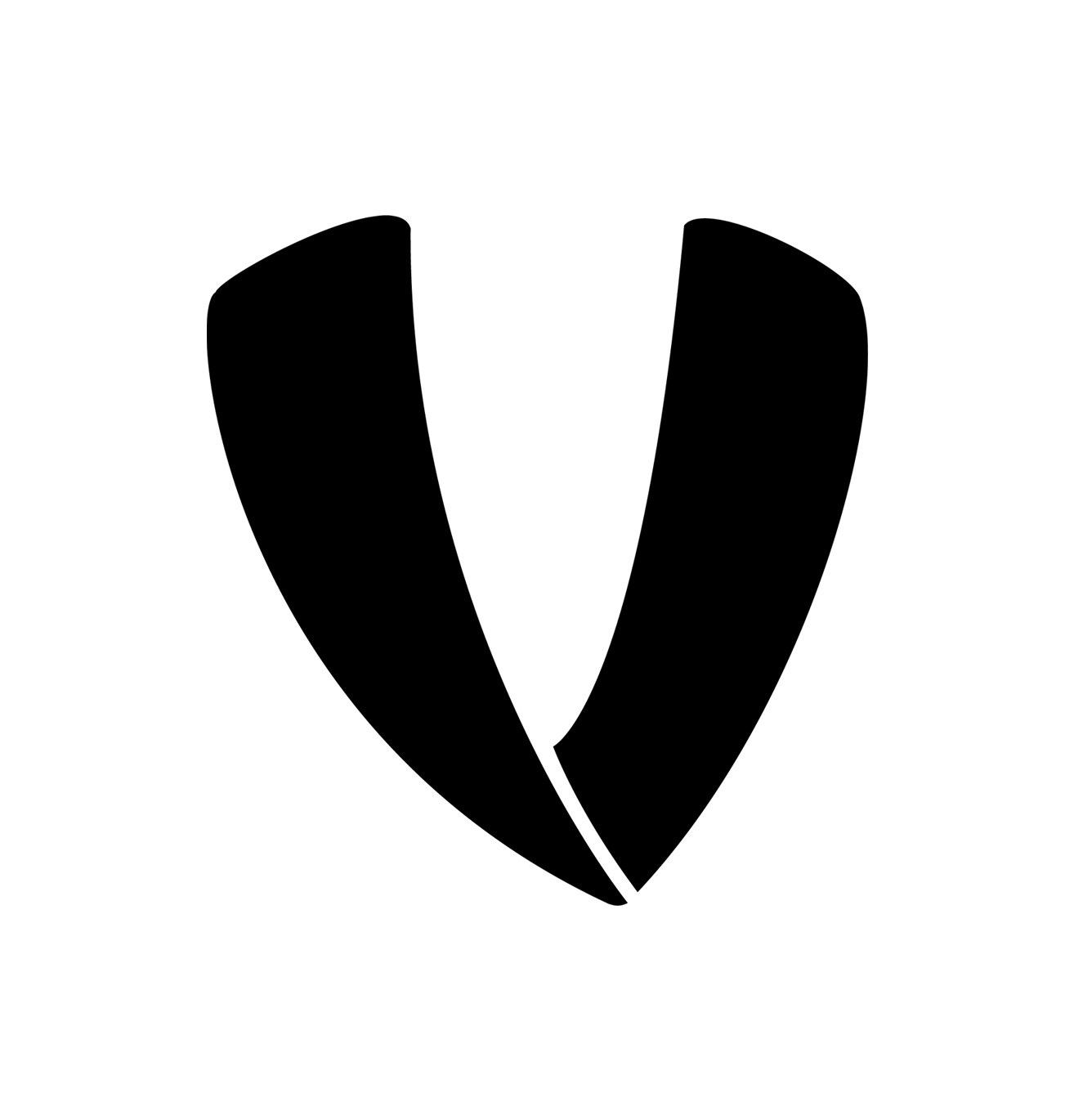 Veto Sports
