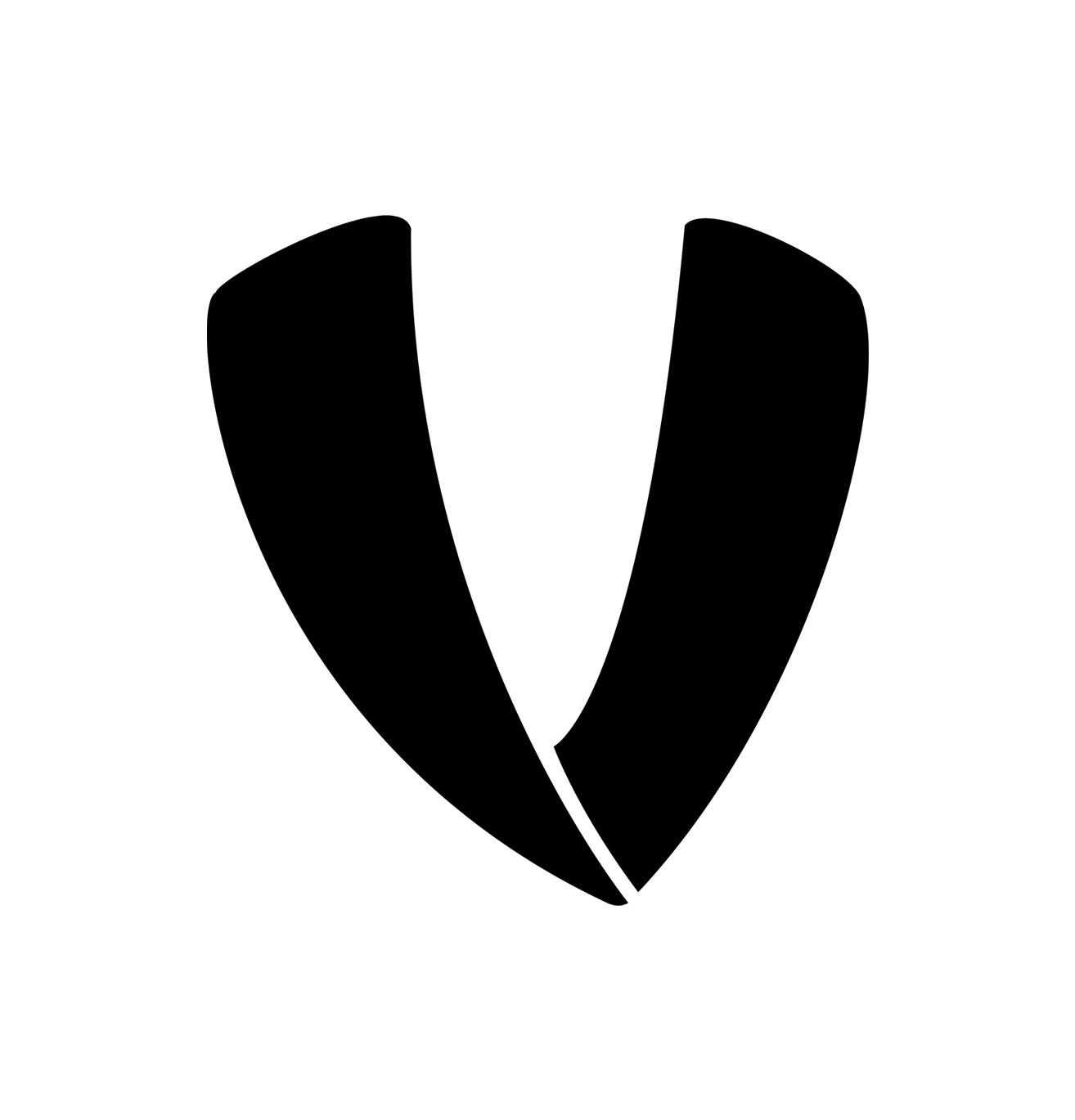 Veto Sports